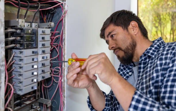 Best Electric Panel Repair  in Pomona Park, FL